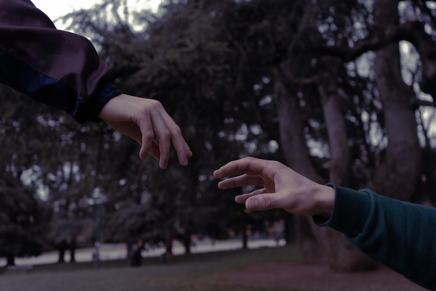 Creating a Culture of Advocacy in Your Team